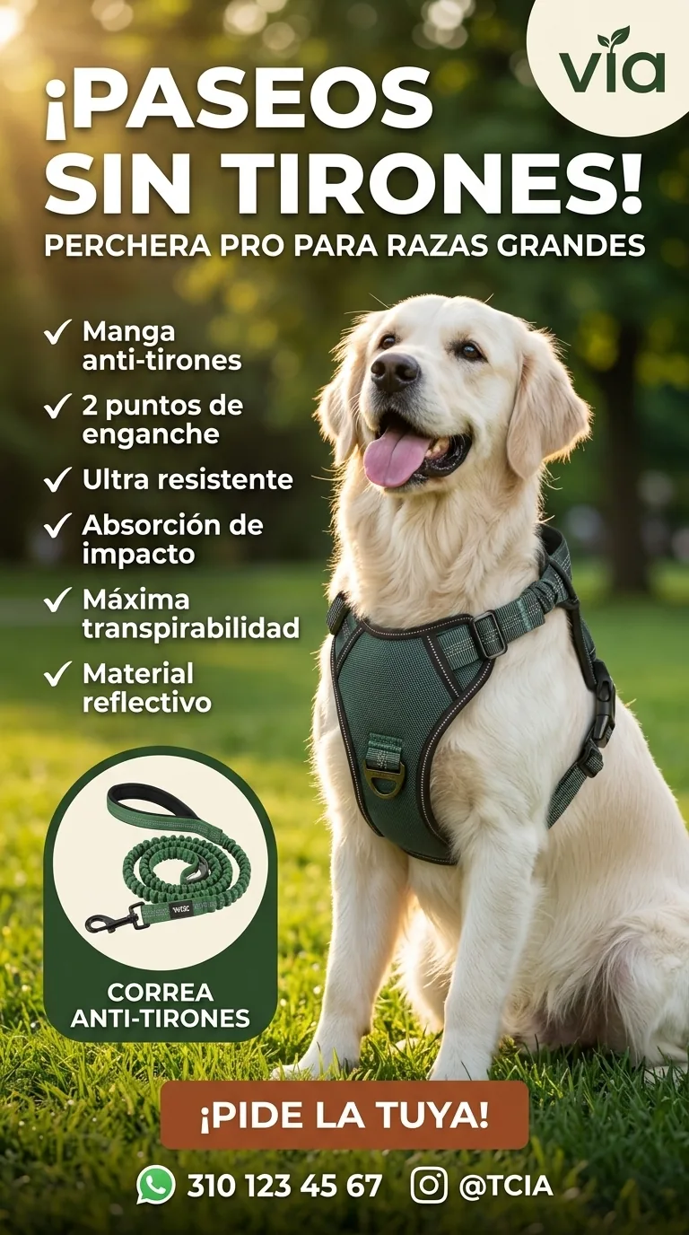 Flyer de ejemplo 1 generado con Publicidad Pro